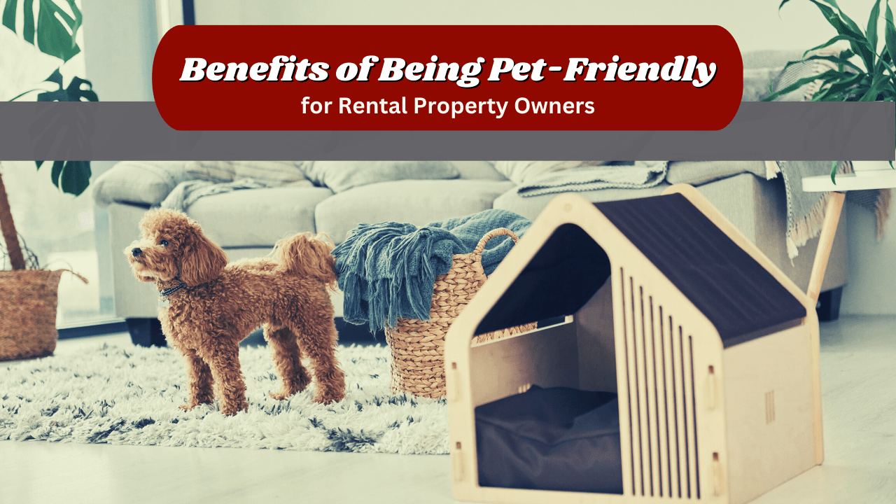 the-benefits-of-being-pet-friendly-for-indianapolis-rental-property-owners